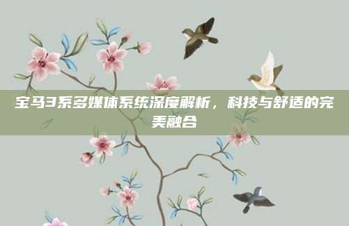 宝马3系多媒体系统深度解析,科技与舒适的完美融合