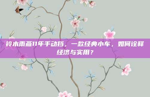 铃木雨燕11年手动挡,一款经典小车,如何诠释经济与实用?