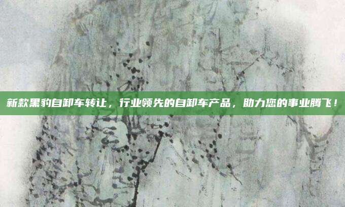 新款黑豹自卸车转让，行业领先的自卸车产品，助力您的事业腾飞！