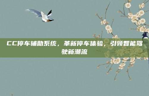 CC停车辅助系统,革新停车体验,引领智能驾驶新潮流