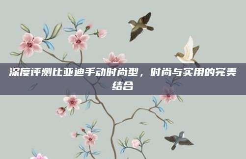深度评测比亚迪手动时尚型,时尚与实用的完美结合