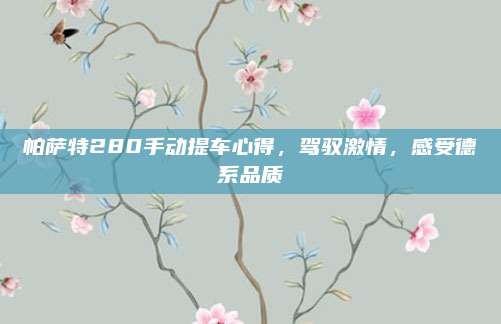 帕萨特280手动提车心得,驾驭激情,感受德系品质