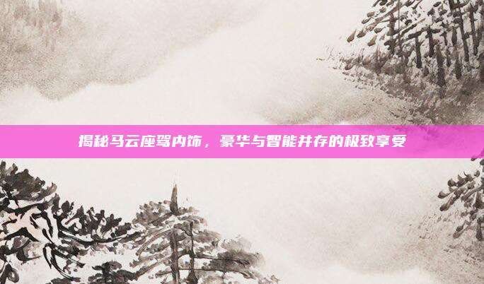 揭秘马云座驾内饰,豪华与智能并存的极致享受