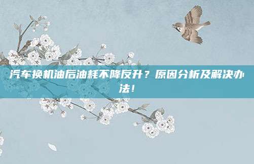 汽车换机油后油耗不降反升?原因分析及解决办法!