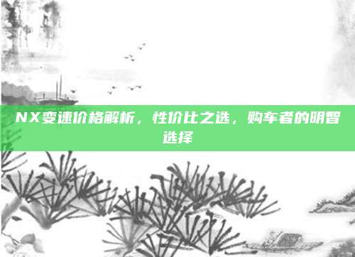 NX变速价格解析,性价比之选,购车者的明智选择