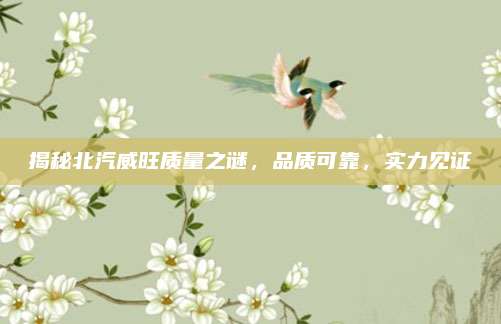 揭秘北汽威旺质量之谜,品质可靠,实力见证