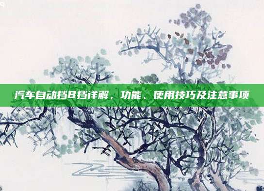 汽车自动挡B挡详解，功能、使用技巧及注意事项