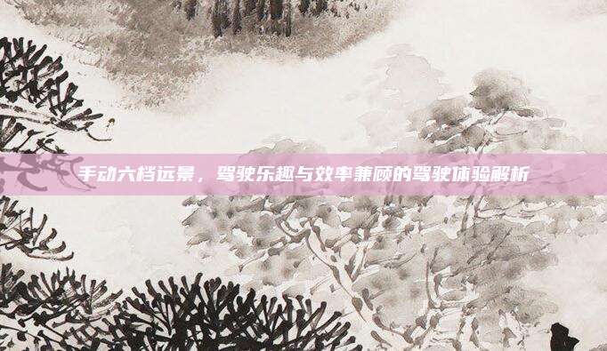 手动六档远景,驾驶乐趣与效率兼顾的驾驶体验解析