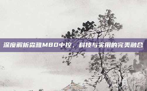 深度解析森雅M80中控,科技与实用的完美融合