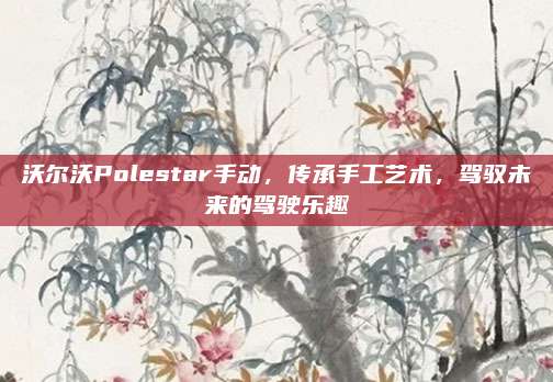 沃尔沃Polestar手动,传承手工艺术,驾驭未来的驾驶乐趣