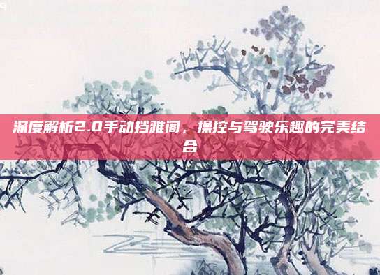 深度解析2.0手动挡雅阁，操控与驾驶乐趣的完美结合