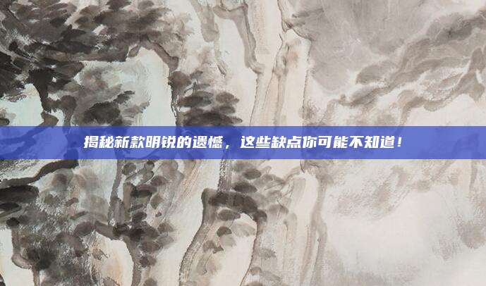 揭秘新款明锐的遗憾,这些缺点你可能不知道!