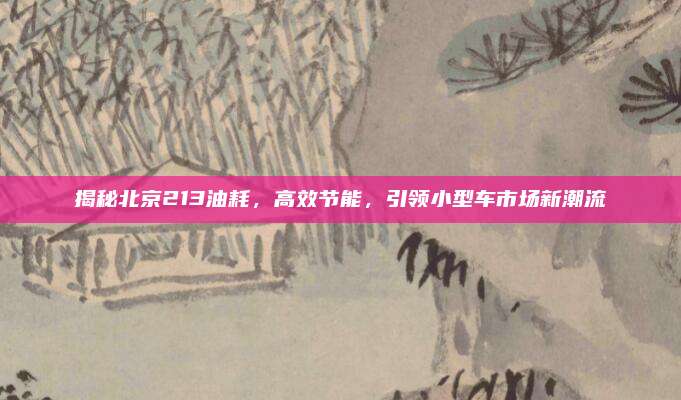 揭秘北京213油耗,高效节能,引领小型车市场新潮流