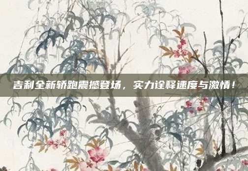 吉利全新轿跑震撼登场,实力诠释速度与激情!
