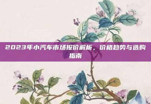 2023年小汽车市场报价解析,价格趋势与选购指南