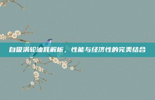 自吸涡轮油耗解析,性能与经济性的完美结合