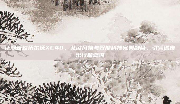 评测新款沃尔沃XC40,北欧风格与智能科技完美融合,引领城市出行新潮流