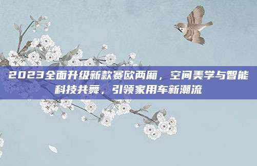 2023全面升级新款赛欧两厢,空间美学与智能科技共舞,引领家用车新潮流
