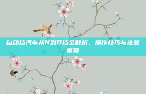 自动挡汽车从N到D挡全解析，操作技巧与注意事项
