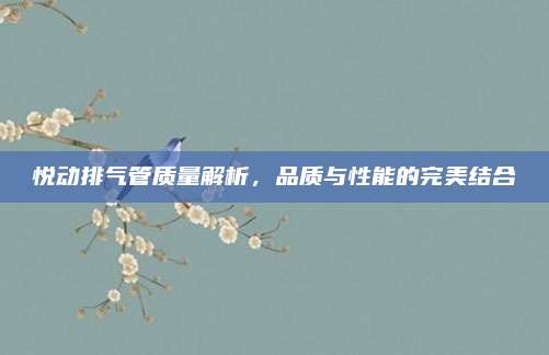 悦动排气管质量解析,品质与性能的完美结合