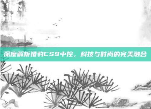 深度解析猎豹CS9中控,科技与时尚的完美融合