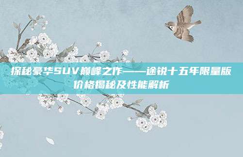 探秘豪华SUV巅峰之作——途锐十五年限量版价格揭秘及性能解析