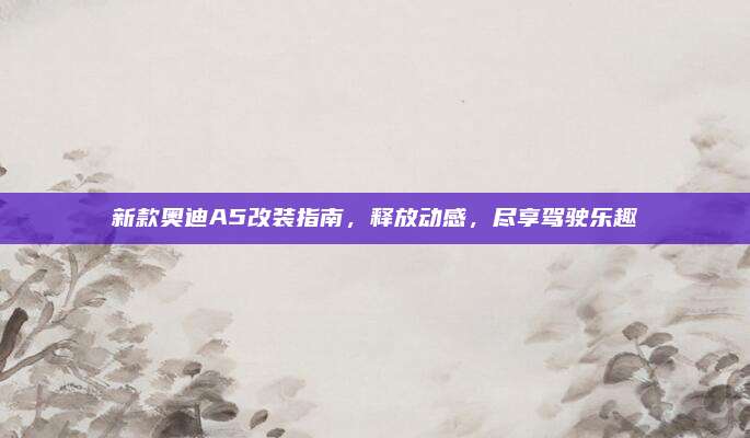 新款奥迪A5改装指南,释放动感,尽享驾驶乐趣