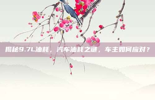 揭秘9.7L油耗,汽车油耗之谜,车主如何应对?