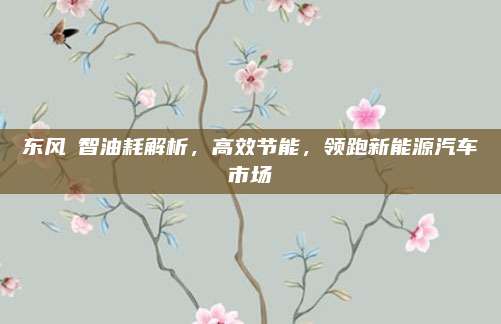 东风夌智油耗解析,高效节能,领跑新能源汽车市场
