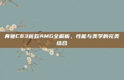 奔驰C63新款AMG全解析,性能与美学的完美结合