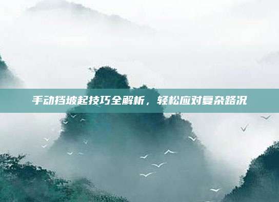 手动挡坡起技巧全解析,轻松应对复杂路况