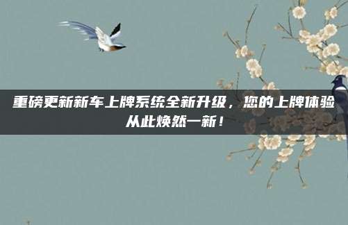 重磅更新新车上牌系统全新升级，您的上牌体验从此焕然一新！