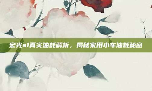 宏光s1真实油耗解析,揭秘家用小车油耗秘密