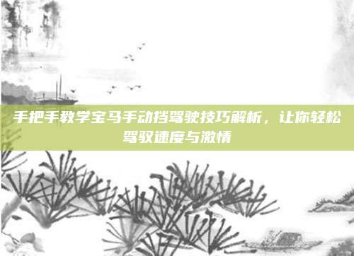 手把手教学宝马手动挡驾驶技巧解析,让你轻松驾驭速度与激情