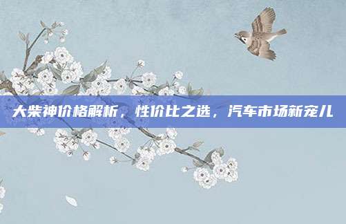 大柴神价格解析,性价比之选,汽车市场新宠儿