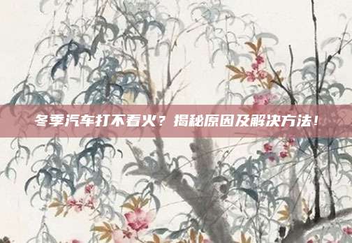 冬季汽车打不着火?揭秘原因及解决方法!
