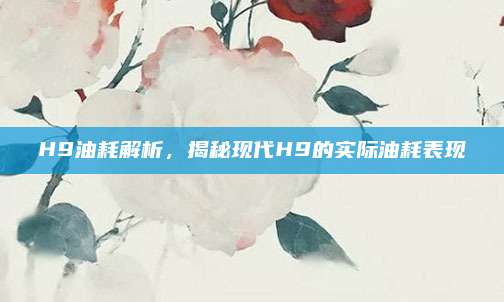 H9油耗解析,揭秘现代H9的实际油耗表现