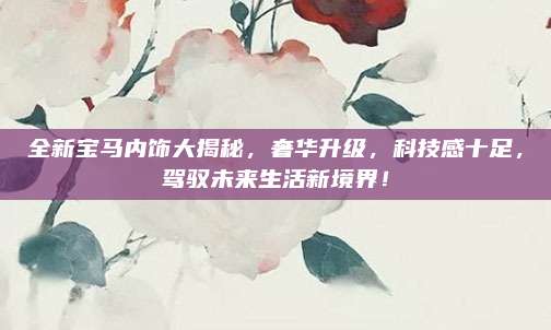 全新宝马内饰大揭秘,奢华升级,科技感十足,驾驭未来生活新境界!