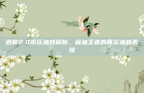 逍客2.0市区油耗解析,省油王者的真实油耗表现