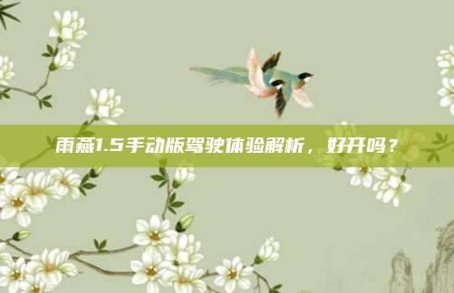雨燕1.5手动版驾驶体验解析,好开吗?