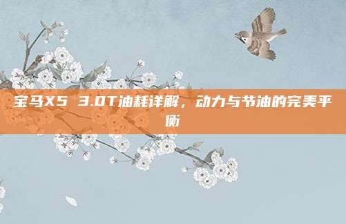 宝马X5 3.0T油耗详解,动力与节油的完美平衡