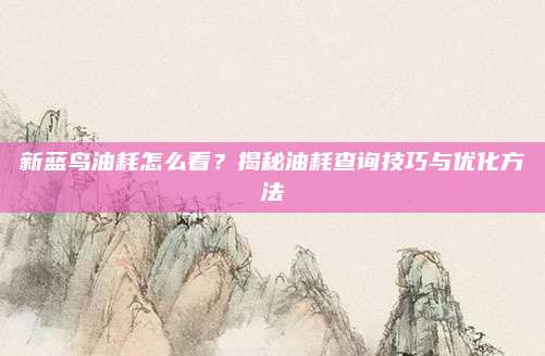新蓝鸟油耗怎么看?揭秘油耗查询技巧与优化方法