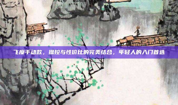 飞度手动款,操控与性价比的完美结合,年轻人的入门首选