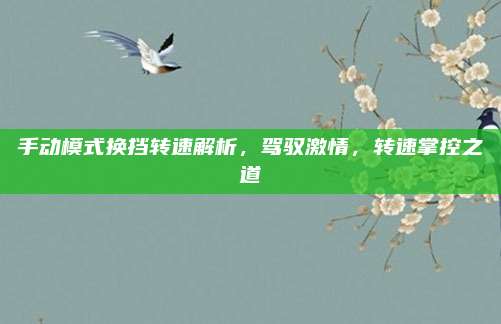 手动模式换挡转速解析,驾驭激情,转速掌控之道