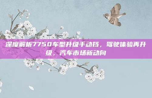 深度解析7750车型升级手动挡，驾驶体验再升级，汽车市场新动向