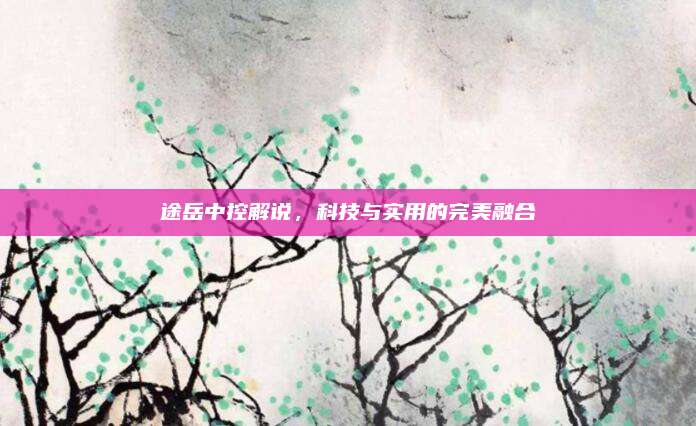 途岳中控解说，科技与实用的完美融合