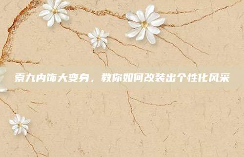 索九内饰大变身，教你如何改装出个性化风采