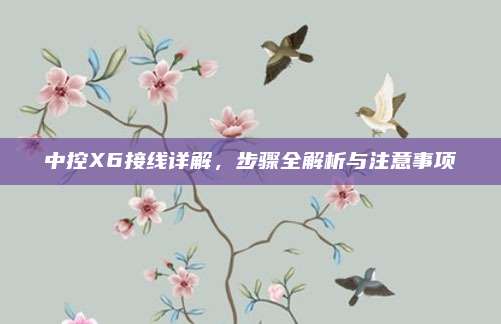 中控X6接线详解，步骤全解析与注意事项