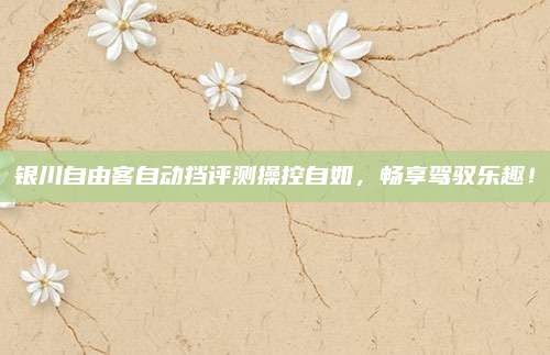 银川自由客自动挡评测操控自如，畅享驾驭乐趣！