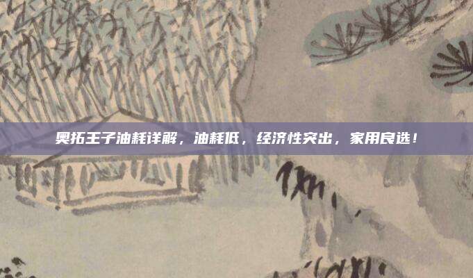 奥拓王子油耗详解，油耗低，经济性突出，家用良选！
